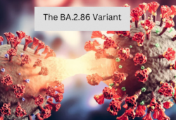Unraveling the BA.2.86 COVID Variant: What We Know So Far