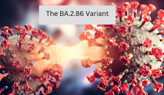 Unraveling the BA.2.86 COVID Variant: What We Know So Far